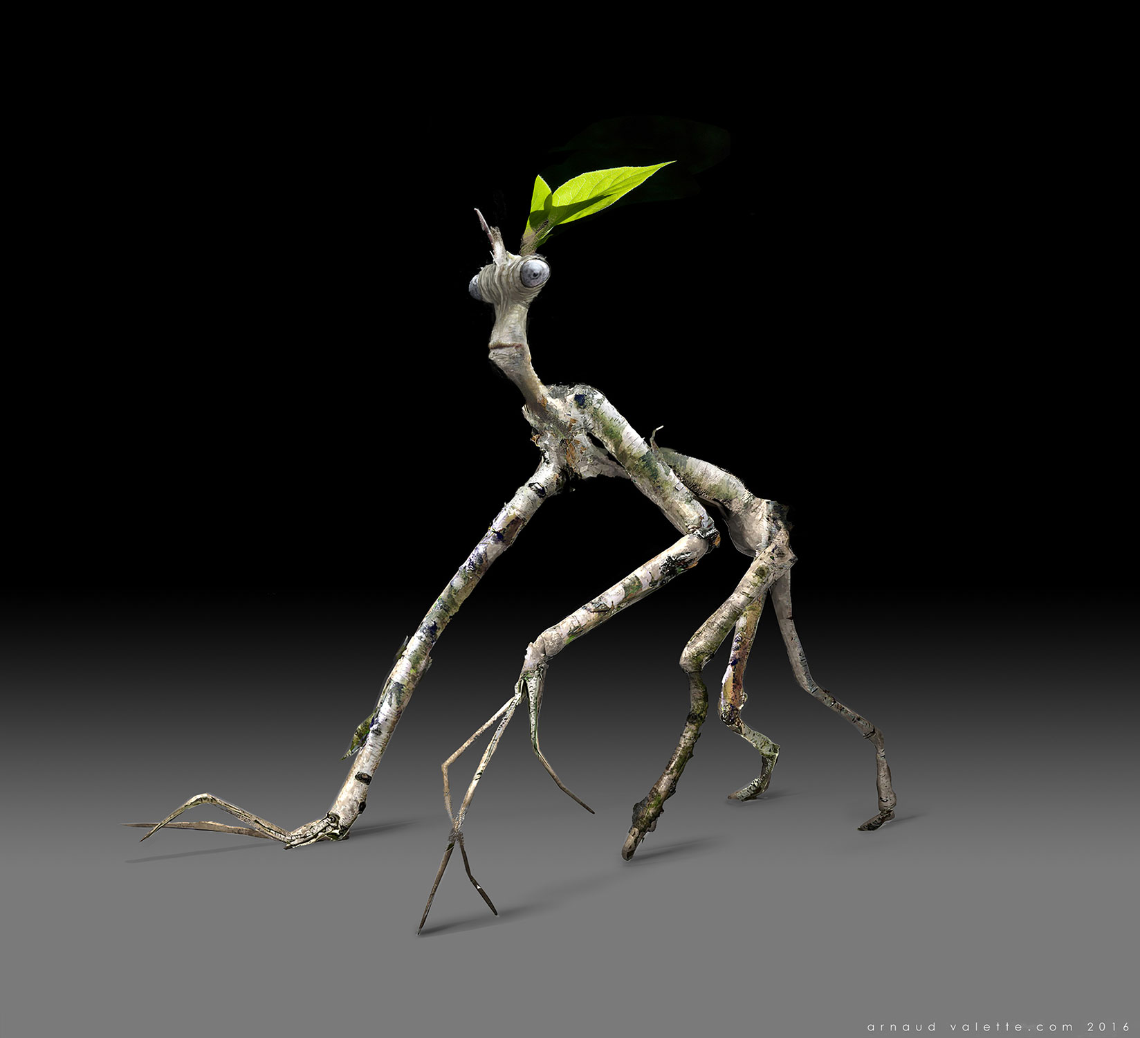 boswell_bowtruckle_20151008_v007_003_AV_web